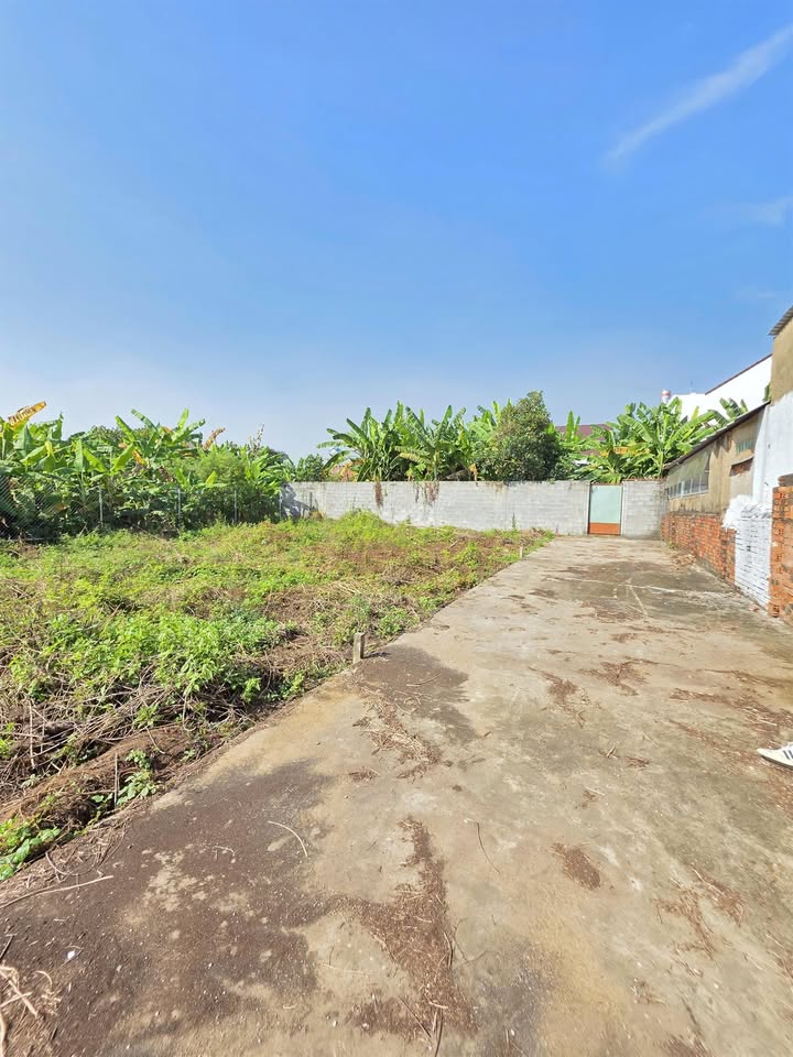 Đất nền Tân Hạnh Biên Hòa 63,5m² giá 2,15 tỷ - Đầu tư sinh lời an toàn!