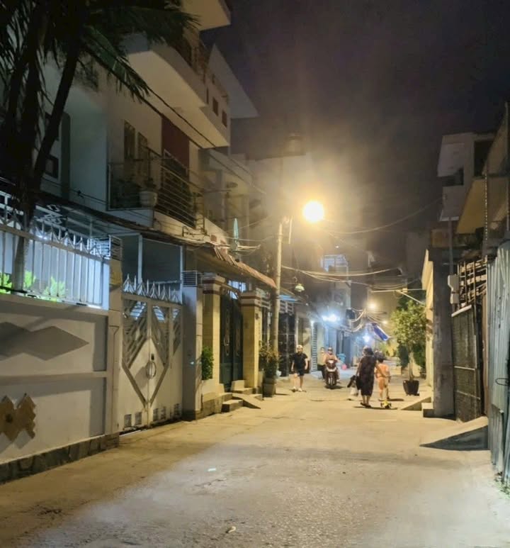 Biệt thự hẻm xe hơi Lý Phục Man Quận 7, 133m², giá 14.2 tỷ - Sổ hồng chính chủ!