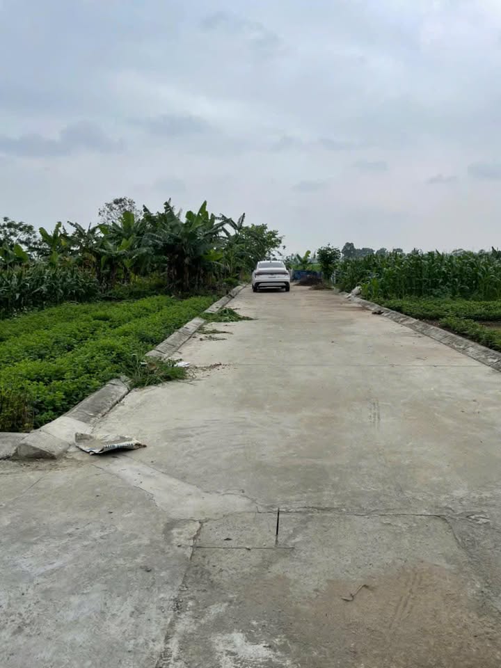 Đất nền Thượng Hồng, Mỹ Hào 64.6m² giá hơn 1 tỷ - Đầu tư sinh lời cao!