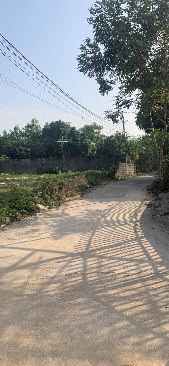 Đất thổ cư Phúc Trìu Thái Nguyên 90m² chỉ 900 triệu - Cơ hội đầu tư tuyệt vời!