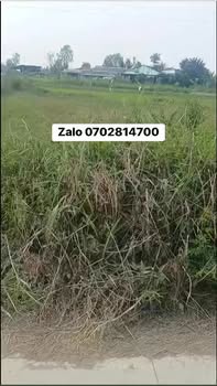 Đất nền 2 mặt tiền Bình Tân, Gò Công Tây 260m² - Giá chỉ 370 triệu!