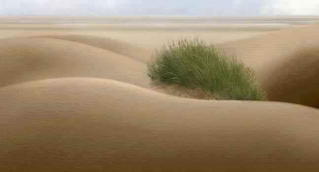 Đất nền Phong Nẫm Phan Thiết 1600m² giá cực tốt - Cơ hội đầu tư không thể bỏ lỡ!