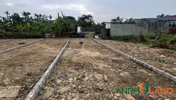 Đất nền Lưu Kiếm Hải Phòng 70m² giá 800 triệu - Cơ hội đầu tư tuyệt vời!