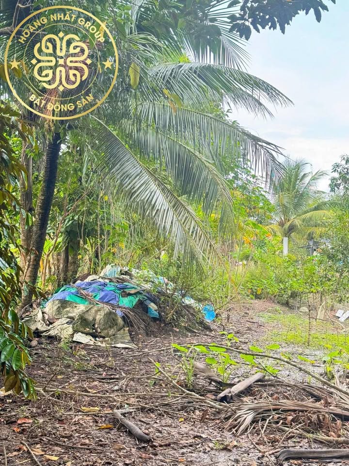 Đất mặt tiền kênh Lễ Quyền, Phường Lý Văn Lâm - 240m² giá 1.1 tỷ - Tiềm năng phát triển lớn!