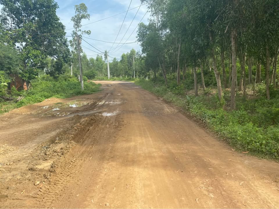 Đất nền Nam Ninh Hòa, Ninh Hòa 1ha giá 500 triệu - Cách biển chỉ 2km!