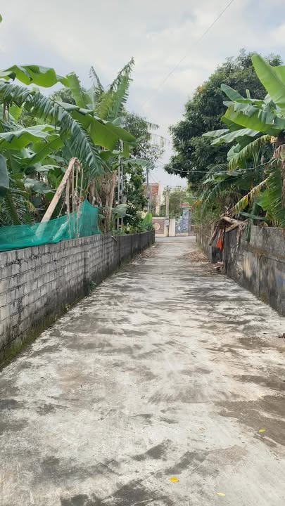 Đất nền Lăng Thành 315m² giá 700 triệu - Cơ hội vàng cho nhà đầu tư!