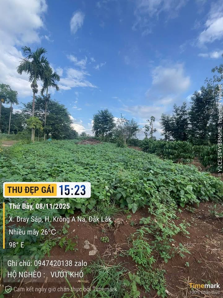 Đất thổ cư Hòa Khánh 120m² giá 299 triệu - Cơ hội đầu tư hiếm có!