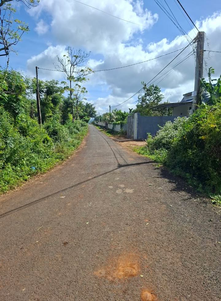 Đất nền hẻm cấp một 303 Y Wang, phường Ea Tam 230m² - Vị trí tuyệt đẹp cho đầu tư!