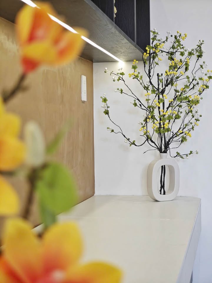 Đất nền Phú Lộc 17, Hòa Minh, Liên Chiểu, Đà Nẵng 82,5m² - Hướng Đông, Giá chỉ 5 tỷ!