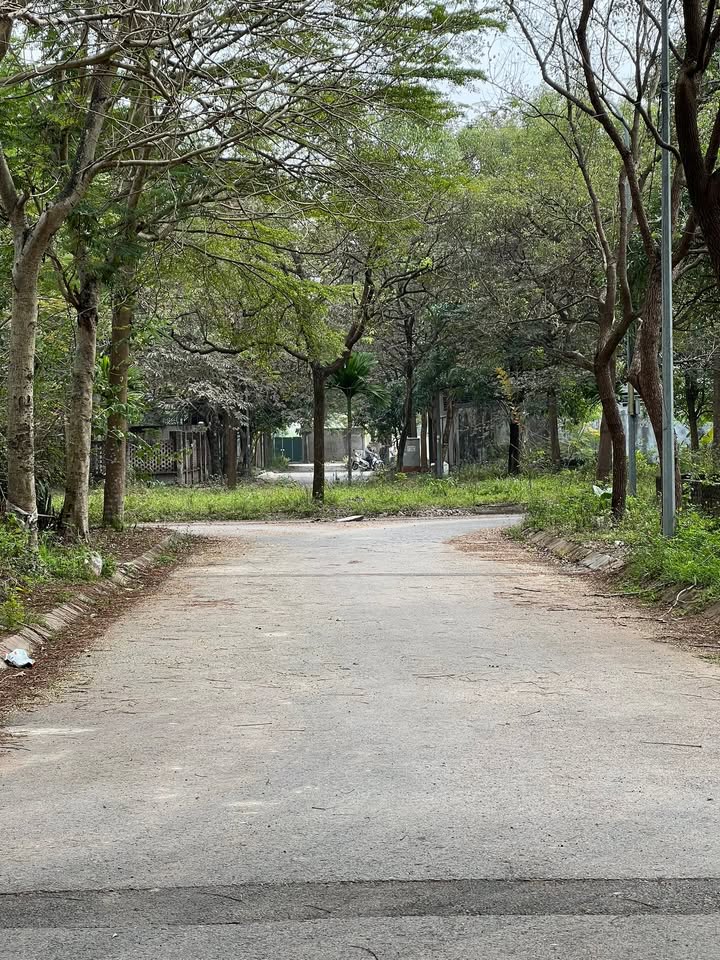 Đất liền kề khu đô thị Hà Phong Mê Linh 160m² giá 9.6 tỷ - Tiềm năng đầu tư lớn!