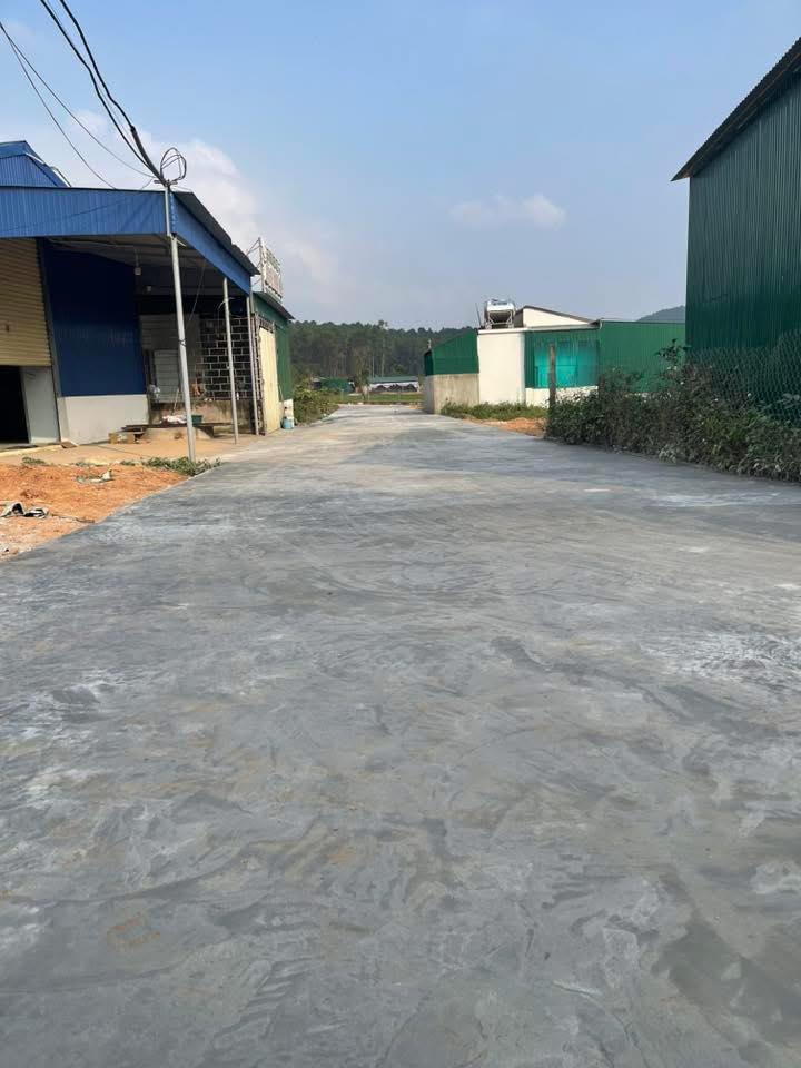 Đất nền Nam Nghĩa, Nam Đàn 260m² giá 1.5 tỷ - Đường thông rộng 6m, đầu tư sinh lời!