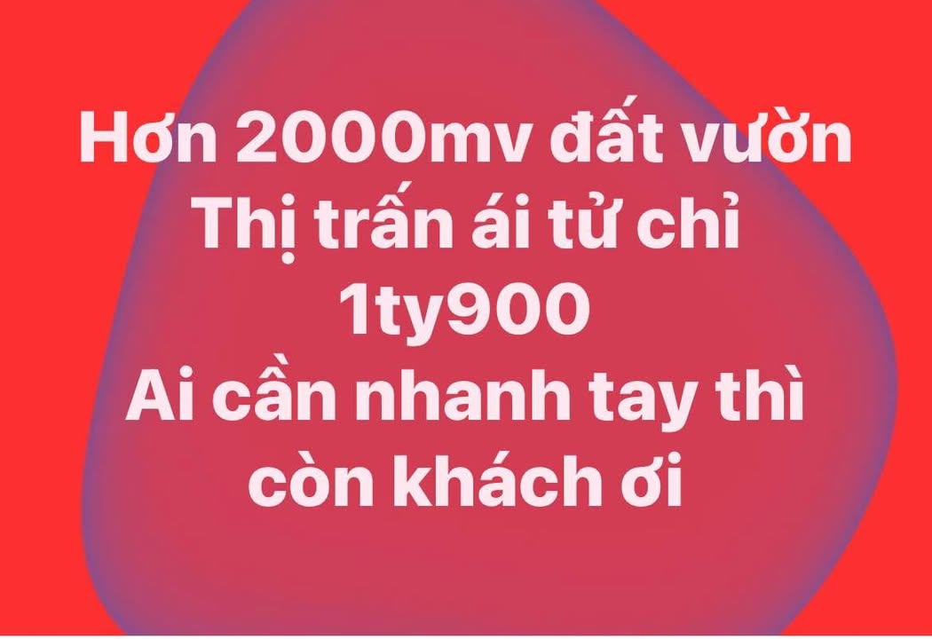 Bán đất mặt tiền đường nhựa tại thị trấn Ái Tử, 2000m² chỉ 1.9 tỷ - Cơ hội đầu tư tuyệt vời!