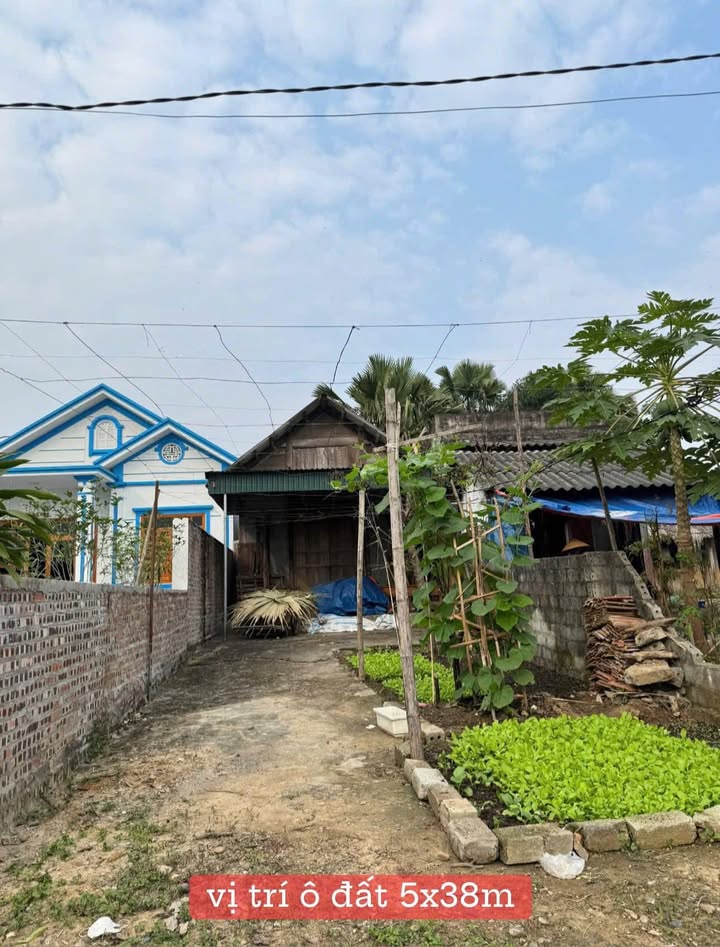 Đất thổ cư 188,8m² tại khu 19, Hoàng Xá - Phú Thọ, giá thỏa thuận - Đầu tư sinh lời!