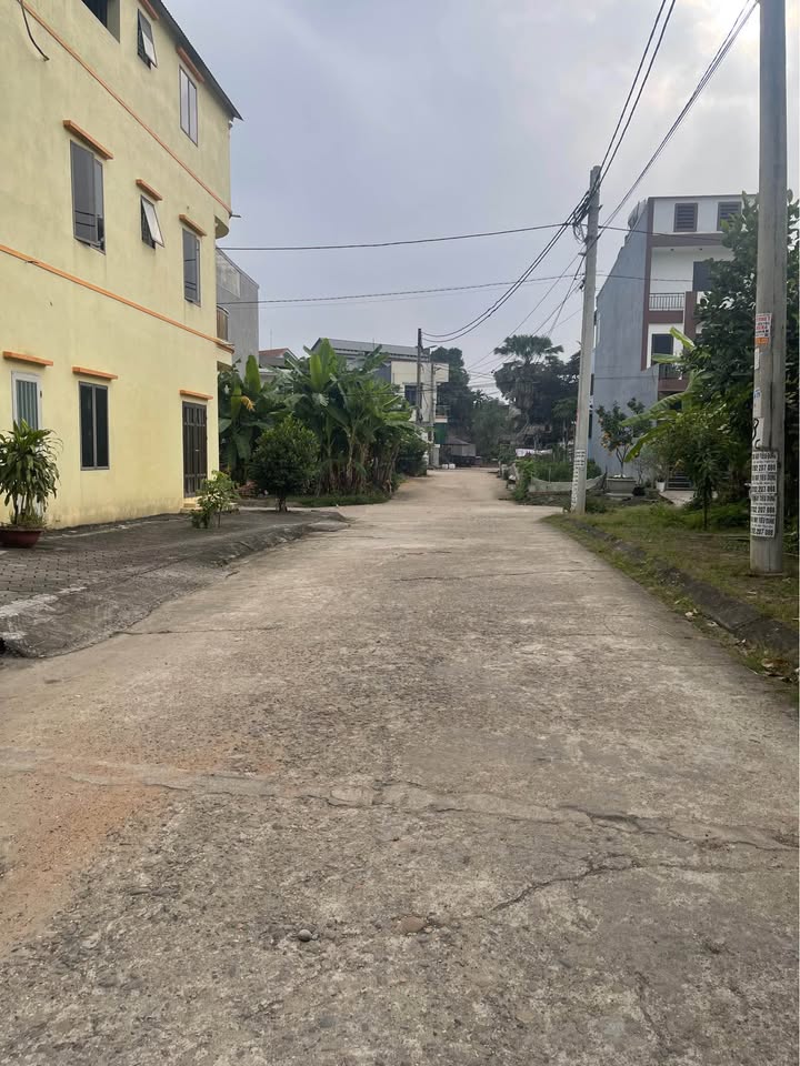 Đất nền Thanh Miếu, Việt Trì 113.7m² giá 3 tỷ - Vị trí đẹp, giao thông thuận tiện