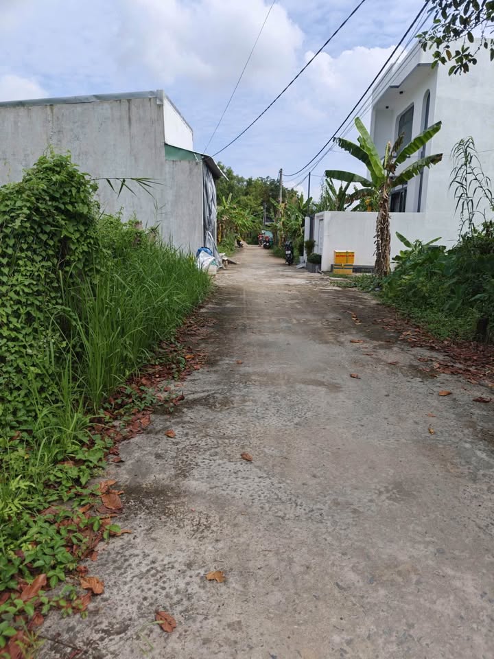 Đất vườn Bình Thủy 91m² chỉ 500 triệu - Gần trường Tiểu học Long Tuyền 1!