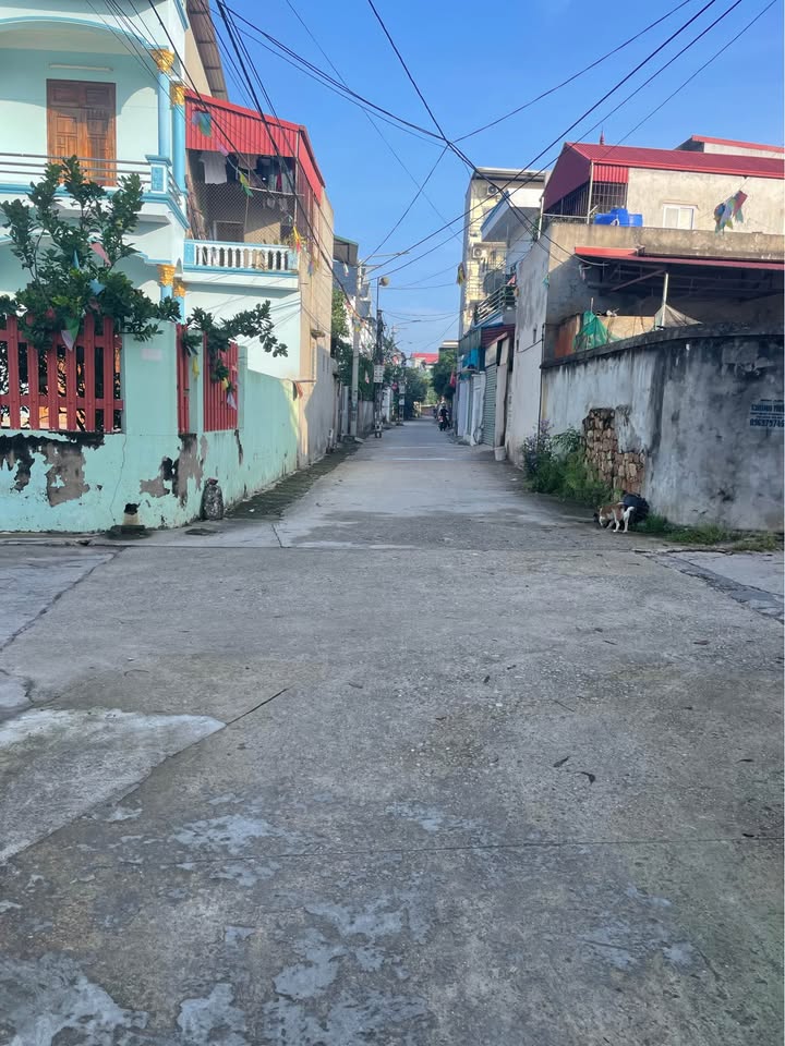 Đất nền Yên Giả, Quế Võ 150m² giá 3 tỷ - Cơ hội đầu tư tiềm năng!