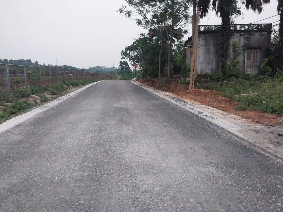 Đất nền mặt đường nhựa Đông Thành, Thanh Ba 200m² giá chỉ từ 100 triệu - Cơ hội đầu tư hấp dẫn!