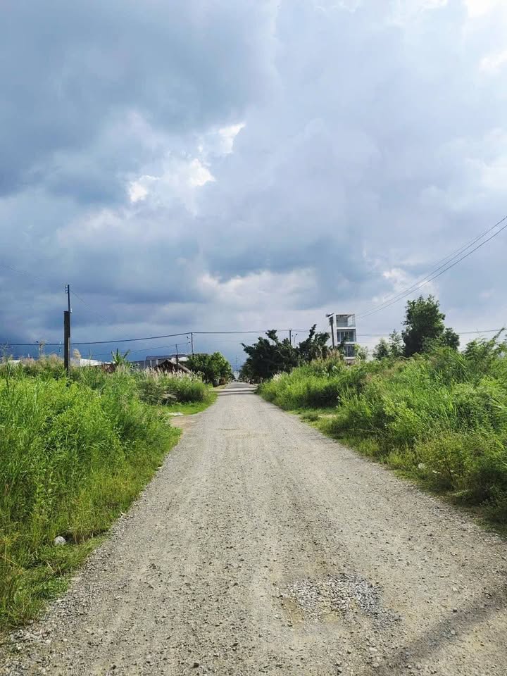 Cặp nền đất KDC Licogi Cà Mau 250m² giá 3 tỷ - Đầu tư sinh lời ngay!