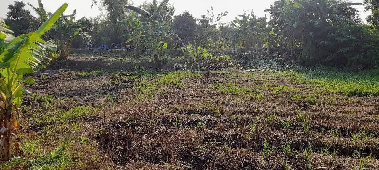 Đất nền Bình Hòa, Châu Thành, An Giang 720m² giá 1.5 tỷ - Mặt tiền đường sông hấp dẫn!