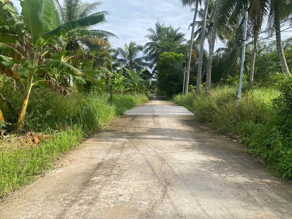 Đất nền góc 2 mặt tiền tại Sơn Đông, Vĩnh Long 187m² chỉ 600 triệu - Sổ đỏ chính chủ!