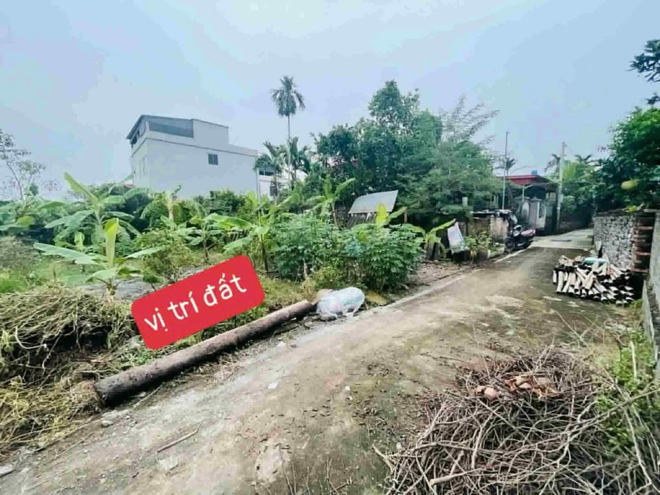 Đất Nền Phù Lưu Tế 55.9m² giá 1.1 tỷ - Phong thủy đẹp, nở hậu!