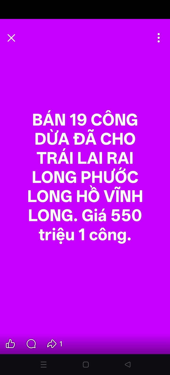 Đất nông nghiệp Long Phước Vĩnh Long 19 công dừa giá 5.5 tỷ - Mặt tiền đường nhựa 5 tấn