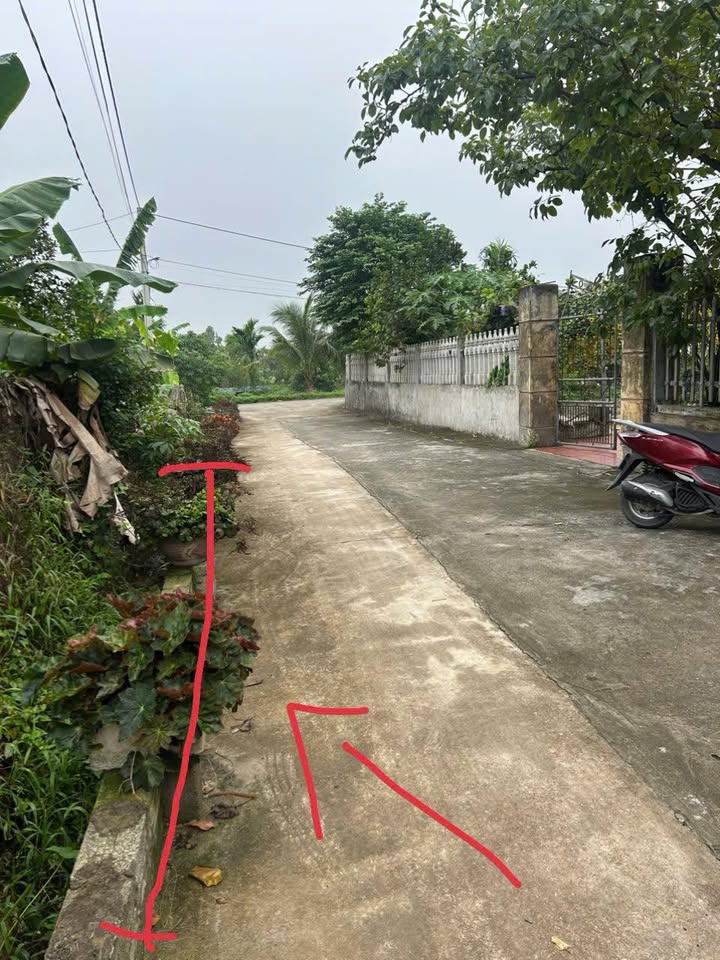 Lô đất thổ cư 109m² tại Thôn Chè Trình, Thanh Tâm, 1,3 tỷ - Đầu tư sinh lời ngay!