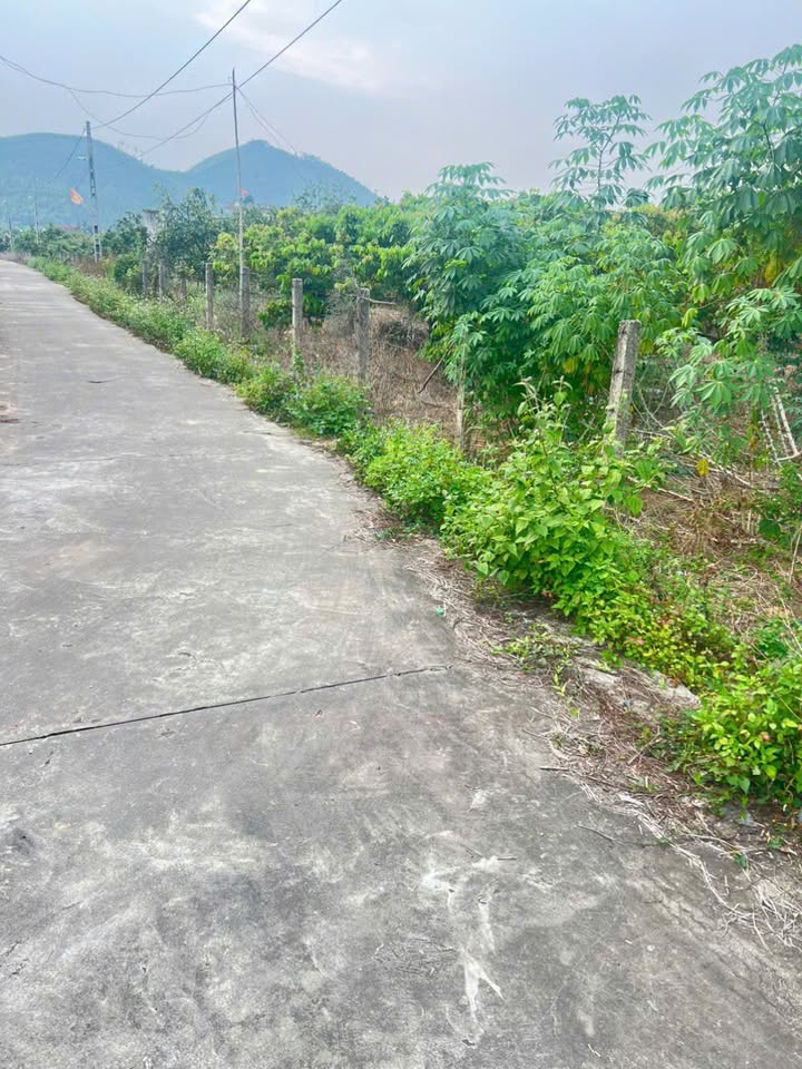 Đất nền 4000m² xã Bình Sơn, Lục Nam - Giá 1.7 tỷ - Tiềm năng đầu tư cao!