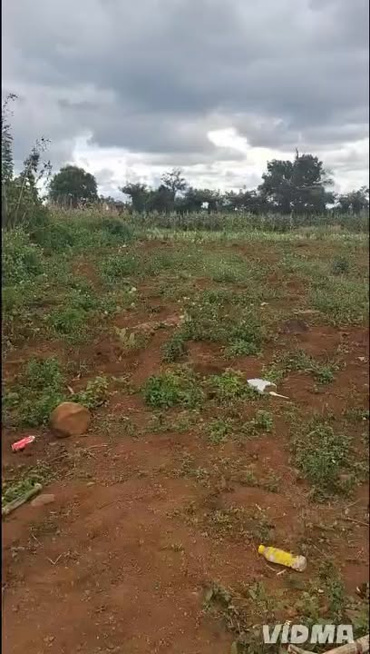 Đất nền Đắk Gằn 10.000m² giá 1.3 tỷ - Đường ô tô vào tận nơi!