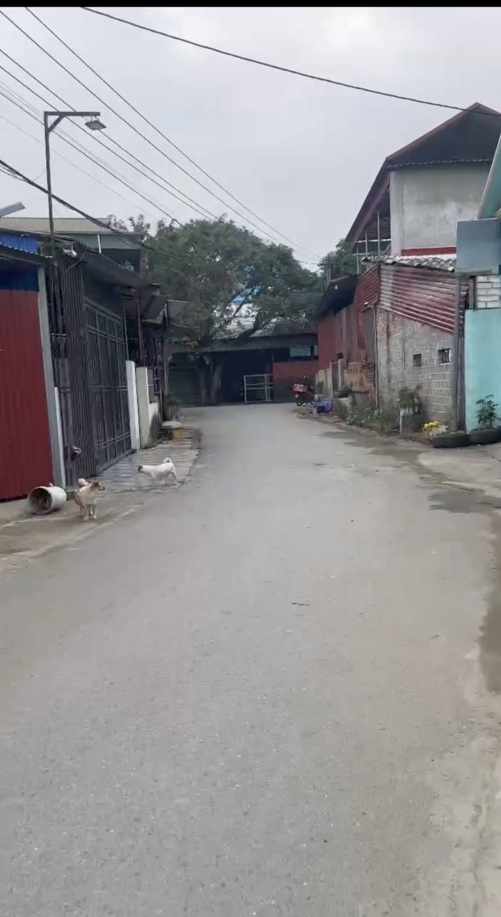 Đất nền Cầu Thia, Nghĩa Lộ 71m² giá 700 triệu - Đường rộng, xóm văn minh!