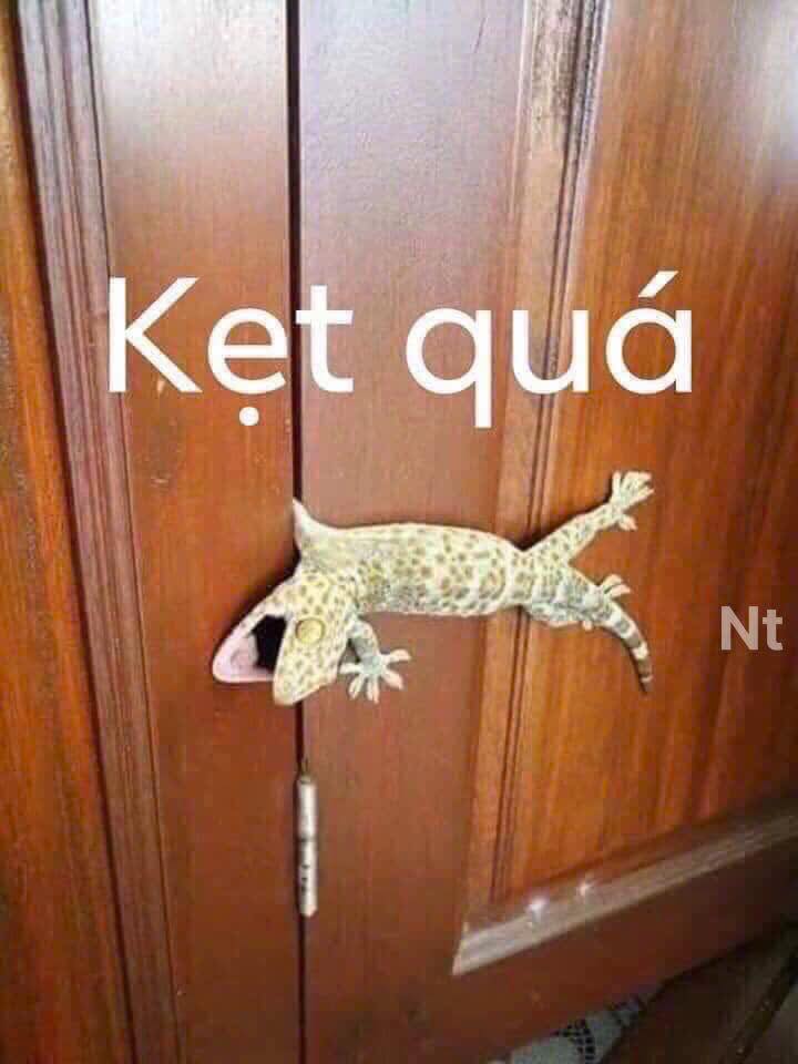 Nhà bán đường Vũ Giới, Bình Chánh 125m² giá 3.9 tỷ - Giảm giá cực sốc!