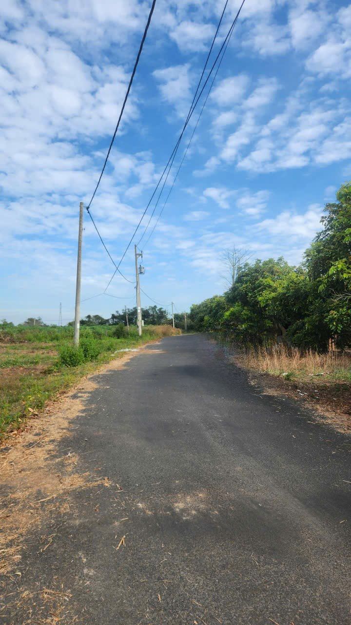 Đất nền đẹp tại xã Hòa Hội, Xuyên Mộc, 80m² - Giá chỉ 1 tỷ!