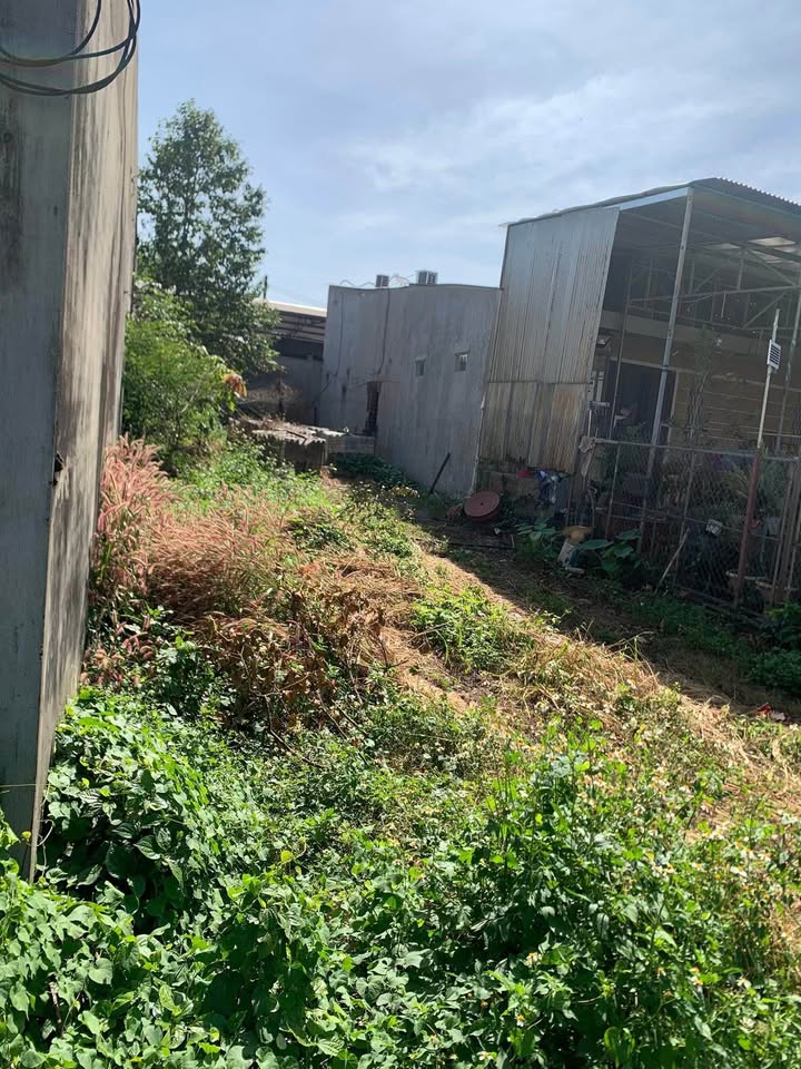 Đất mặt tiền Quốc lộ 20, xã Gia Kiệm, 6226m² - Giá chỉ 248.8 triệu VND!