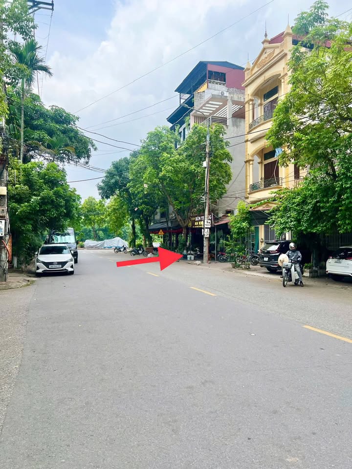 Đất mặt đường Đông Thành Hưng Yên 75m² giá 8 tỷ - Kinh doanh thuận lợi!