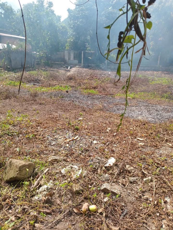 Đất thổ cư 1237m² tại thôn Vĩnh Cát, Suối Hiệp giá 5.5 tỷ - Đầu tư sinh lời!