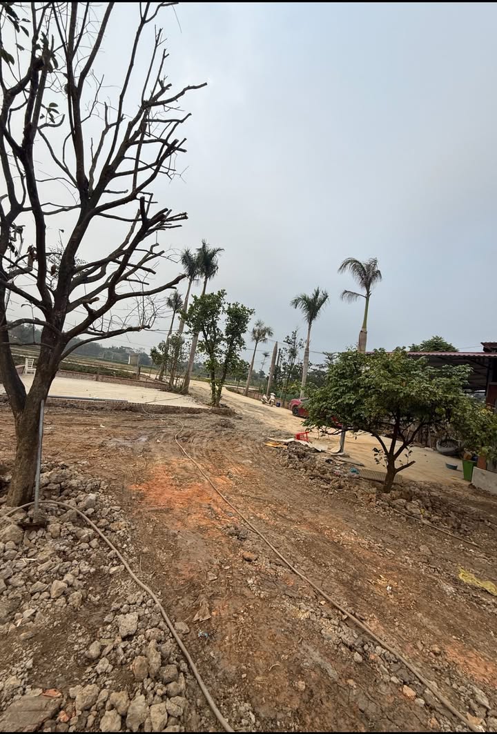 Đất Farm 9.300m² tại Trung Giã, Sóc Sơn, Hà Nội giá 1.855 tỷ - Đầu tư sinh lời bền vững!