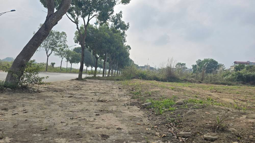 Đất nền Võ Nguyên Giáp, P Cam Đường, Lào Cai 101m² giá 2.3 tỷ - Hướng Đông Bắc thuận lợi!