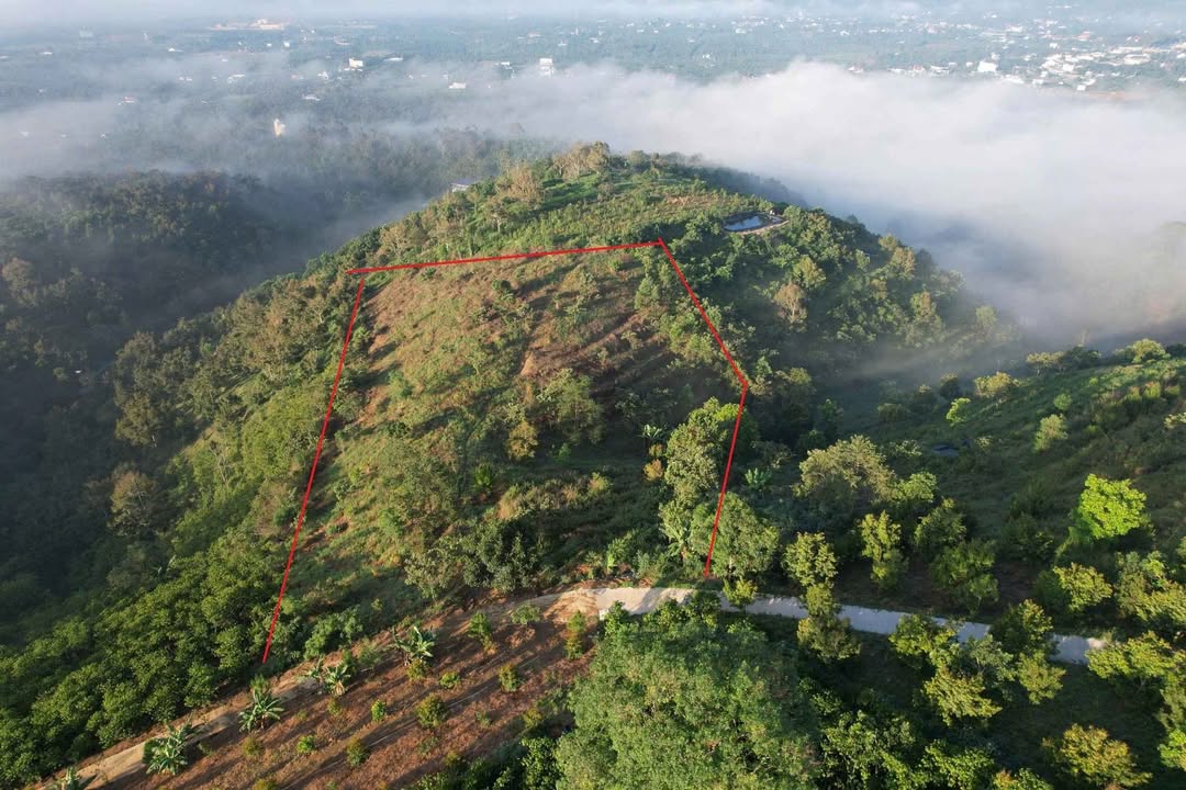 Đất nền Bảo Lâm 7000m² giá 3.6 tỷ - Vị trí đắc địa, hạ tầng hoàn thiện!