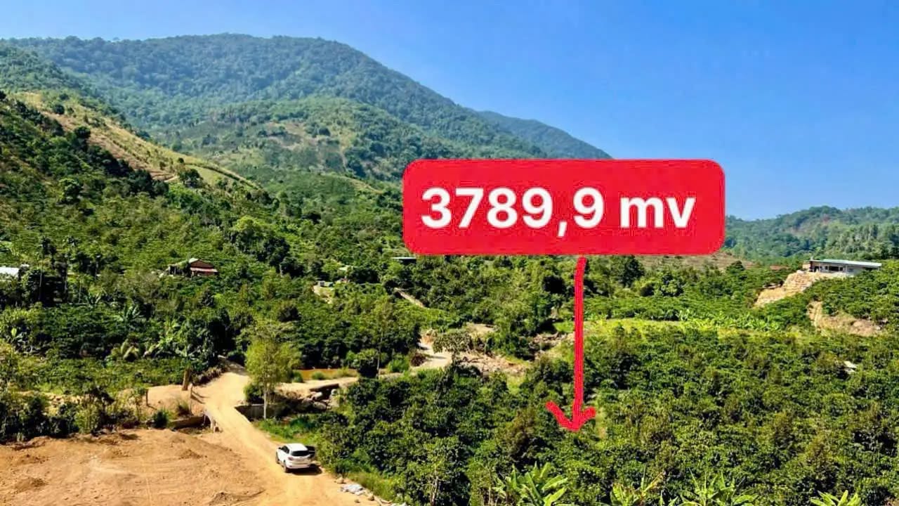 Bán đất thổ cư Lộc Nam, Bảo Lâm 3,8 sào - Giá chỉ 1,39 tỷ