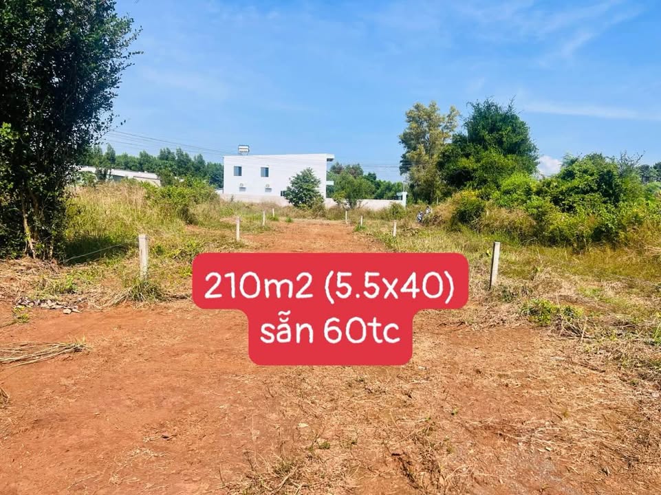 Đất nền Đất Đỏ 210m² giá 700 triệu - Cơ hội đầu tư hấp dẫn!