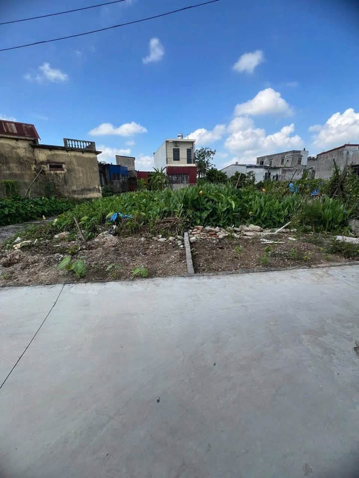 Đất nền quận Kiến An 46.5m² giá 800 triệu - Hướng Đông, sổ đỏ chính chủ!