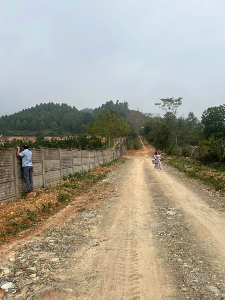 Đất nông nghiệp Ngọc Thanh Phúc Yên 11.000m² giá 22 tỷ - Cơ hội đầu tư hiếm có!