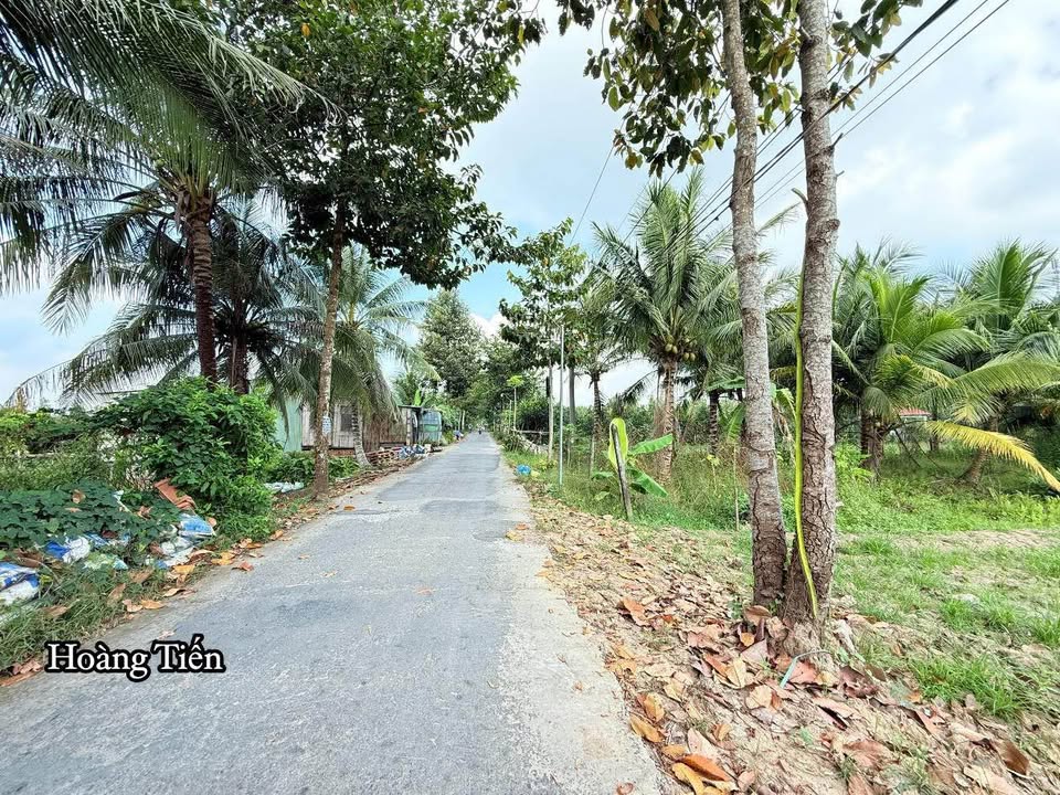 Đất nền thổ cư Bình Minh 190m² giá 590 triệu - Đầu tư sinh lời ngay!