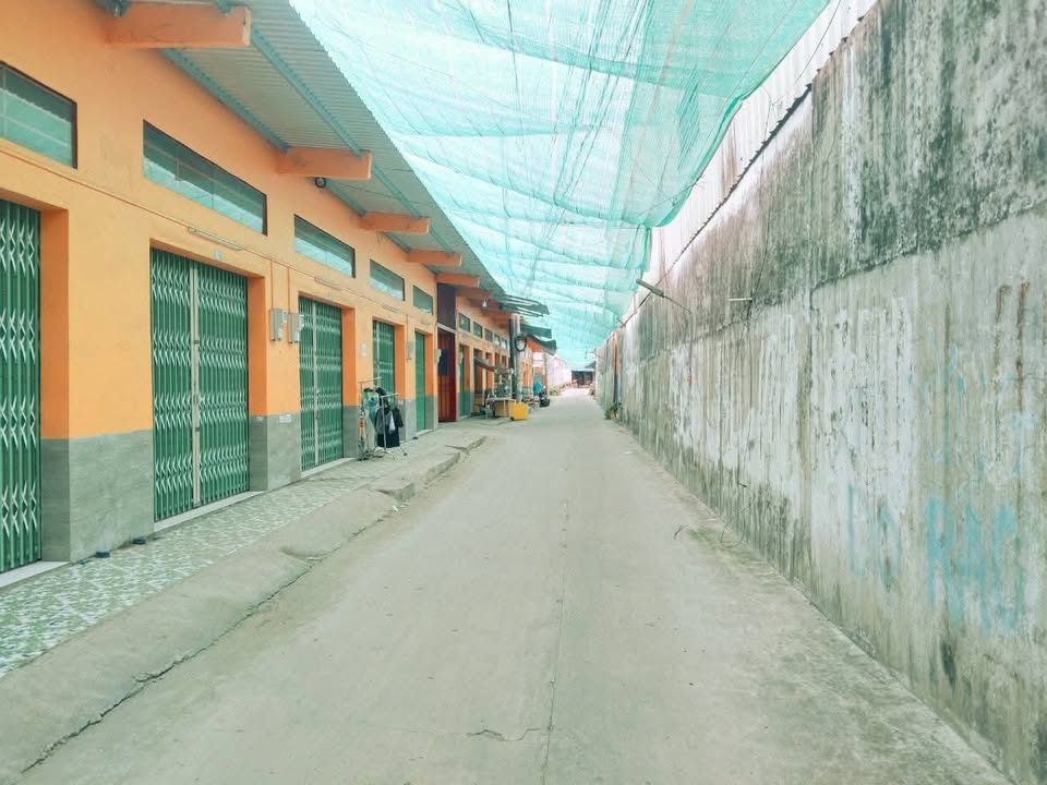 Đất thổ cư 244m² hẻm Quốc Lộ 91, quận Ô Môn - Đầu tư sinh lời bền vững!