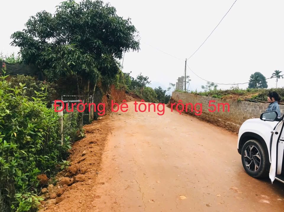 Đất nền nghỉ dưỡng Hợp Phong, Cao Phong 3279m² - Giá cực rẻ, view thoáng đãng!