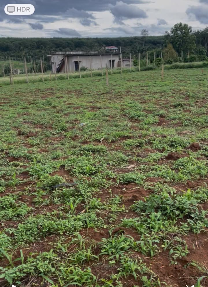 Đất nền Phú Lộc 400m² giá 670 triệu - Sổ đỏ chính chủ, pháp lý rõ ràng!