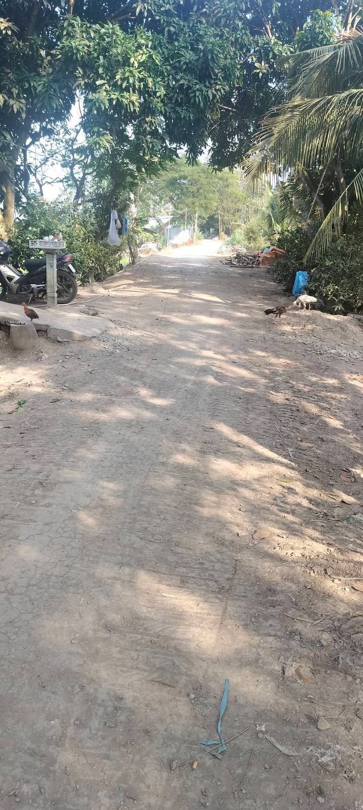 Đất nền và 20 công ruộng xã Tây Phú, An Giang 50.000m² - Giá chỉ 140 triệu/1000m²!