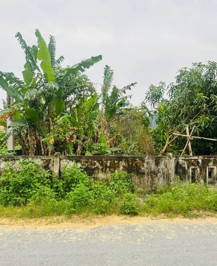 Đất nền Bế Văn Đàn, Nam Lý, Đồng Hới 149m² giá chỉ 1 tỷ - Cơ hội đầu tư tuyệt vời!