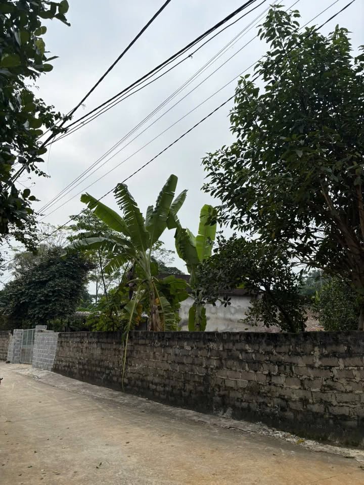 Đất nền Tản Lĩnh, Ba Vì 400m² giá 3 tỷ - Lô góc 3 mặt thoáng hiếm có!