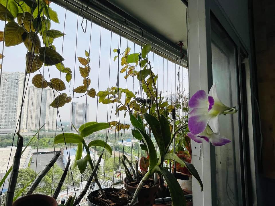 Nhà riêng Hóc Môn 75m² giá 4.9 tỷ - Pháp lý an toàn, hẻm thông thoáng!